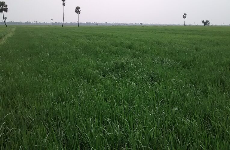 कुरनूल बन्नी उत्सव हिंसा में एक मौत, अस्सी घायल