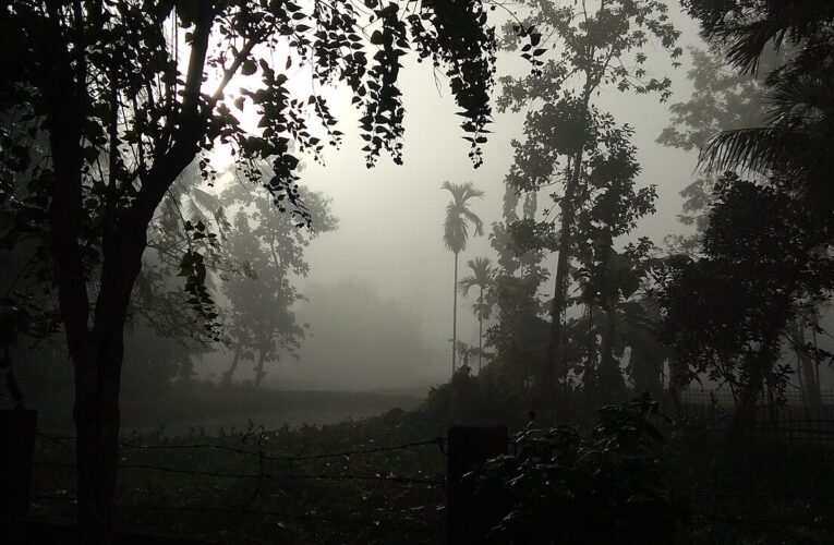 उत्तर भारत में ठंड की दस्तक, तापमान में गिरावट का पूर्वानुमान