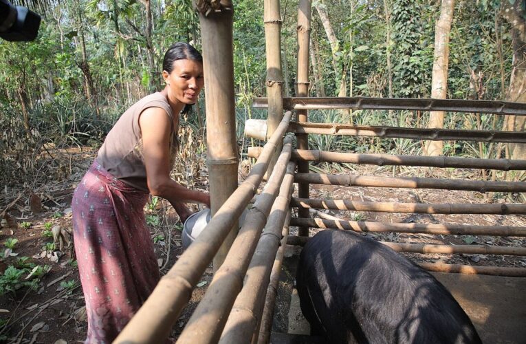 विधवा के सीमित भूमि अधिकार अब पूर्ण स्वामित्व: सुप्रीम कोर्ट