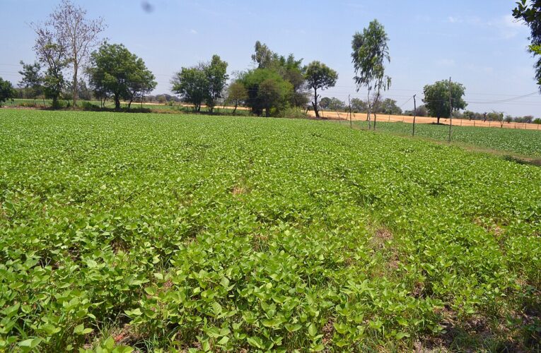 सिरपुर को यूनेस्को अस्थायी विश्व धरोहर सूची में स्थान