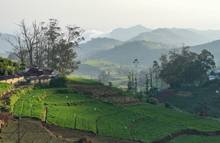 नीलगिरि में बारिश के बीच भूस्खलन की चपेट में आई बस