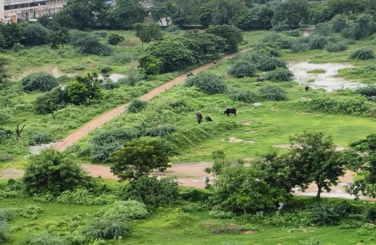 शहरों में मानसून की बारिश से पर्यावरण को मिलती है राहत