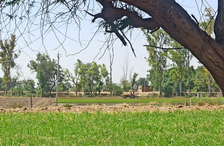 त्योहारी सीजन में सिनेमाघरों में दर्शकों की भीड़ उमड़ी