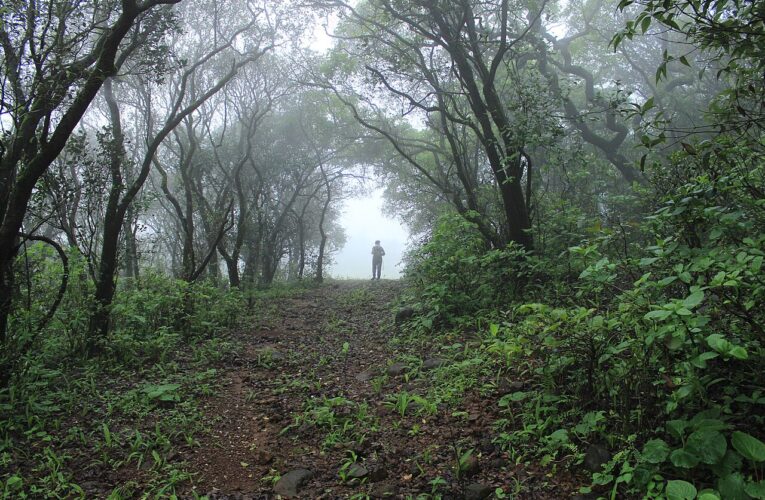 विभिन्न राज्यों में त्योहारी सुरक्षा व्यवस्था कड़ी की गई