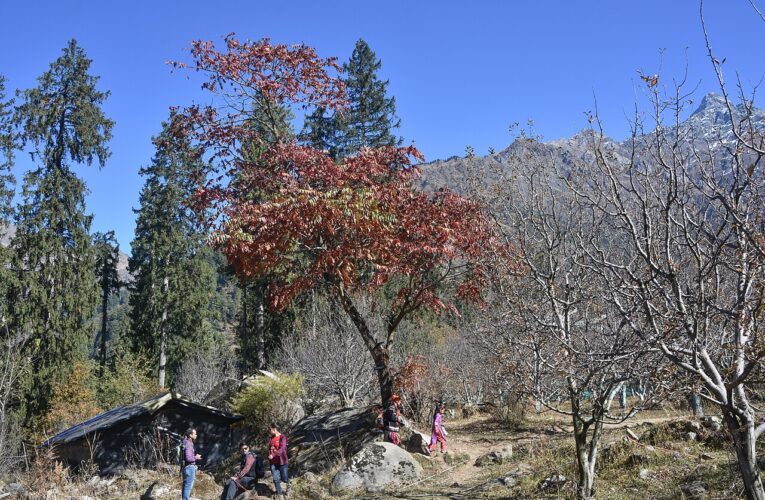 हिमाचल में सेब बागवानों के लिए शीत भंडारण सुविधा का विस्तार