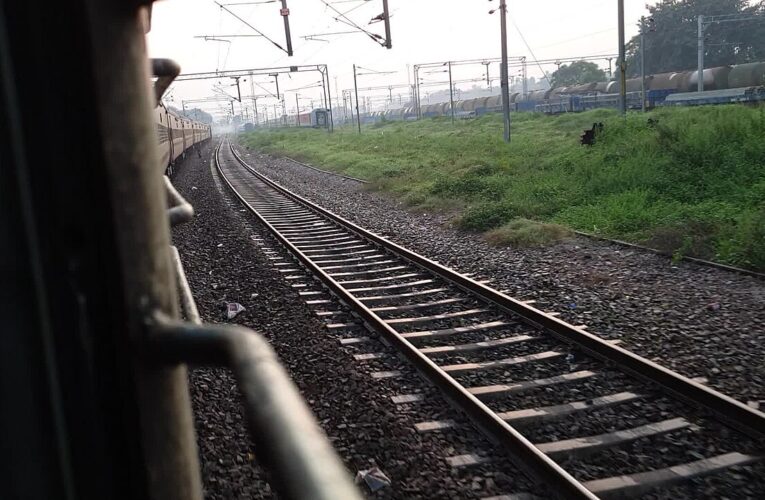 नगर पालिका ने नालों और सड़कों की सफाई कराई