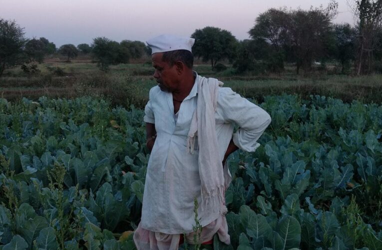 त्योहारी रौनक के बीच आज देर रात तक खुले रहेंगे बाजार