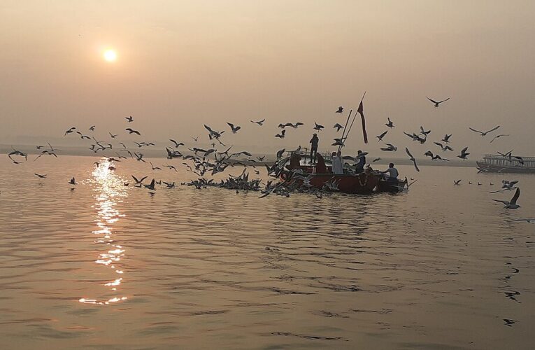 सड़कों और घाटों की सफाई का विशेष अभियान चला